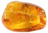 Fossil Spider Web In Baltic Amber - Rare! #94052-1